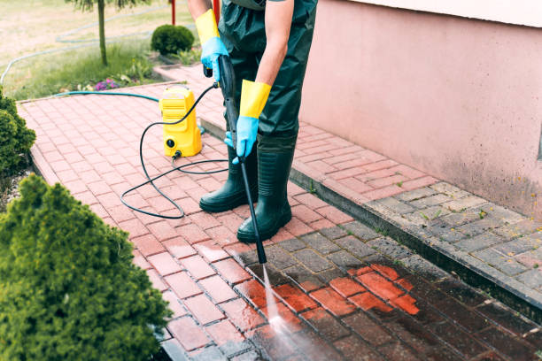 Best Pressure Washing Company Near Me  in Carrollton, VA