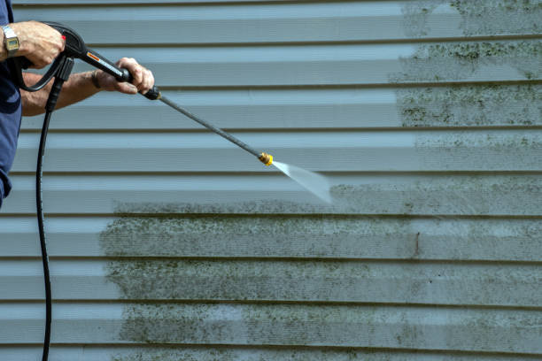 Best Pressure Washing Services Near Me  in Carrollton, VA