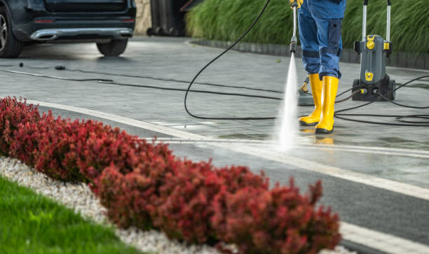 Best Pressure Washing Services for Businesses  in Carrollton, VA